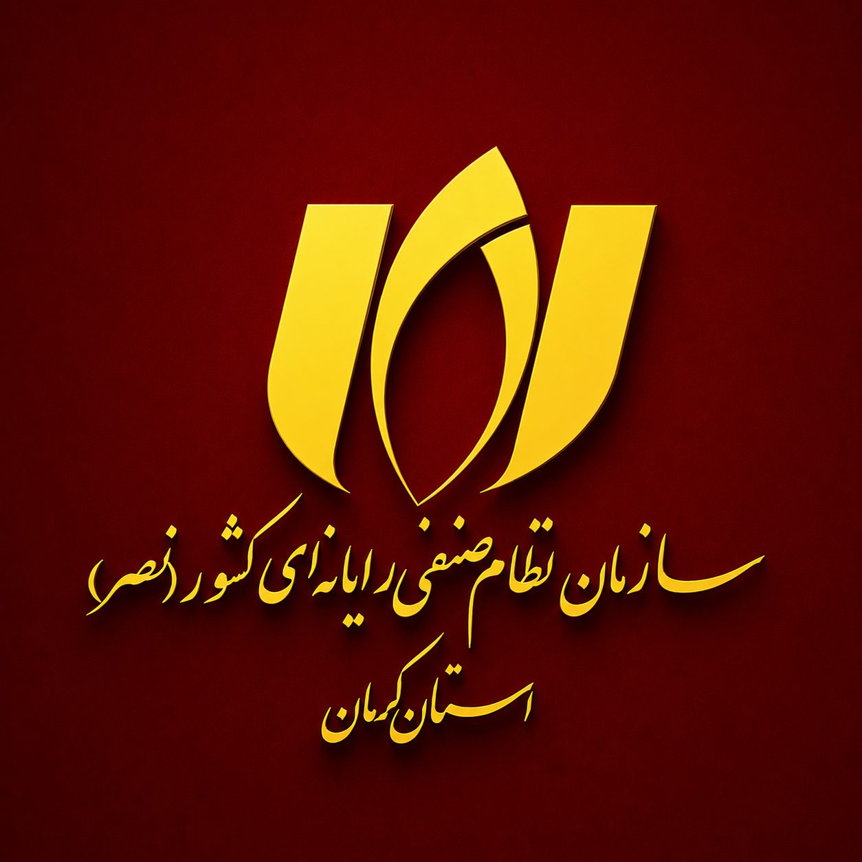سازمان نظام صنفی رایانه‌ای کشور